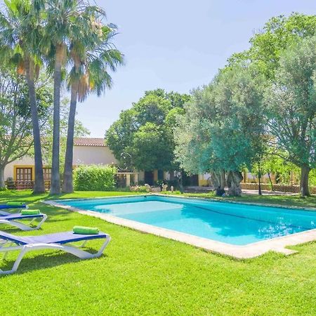 Agroturismo Finca Son Amora Palma de Mallorca Dış mekan fotoğraf