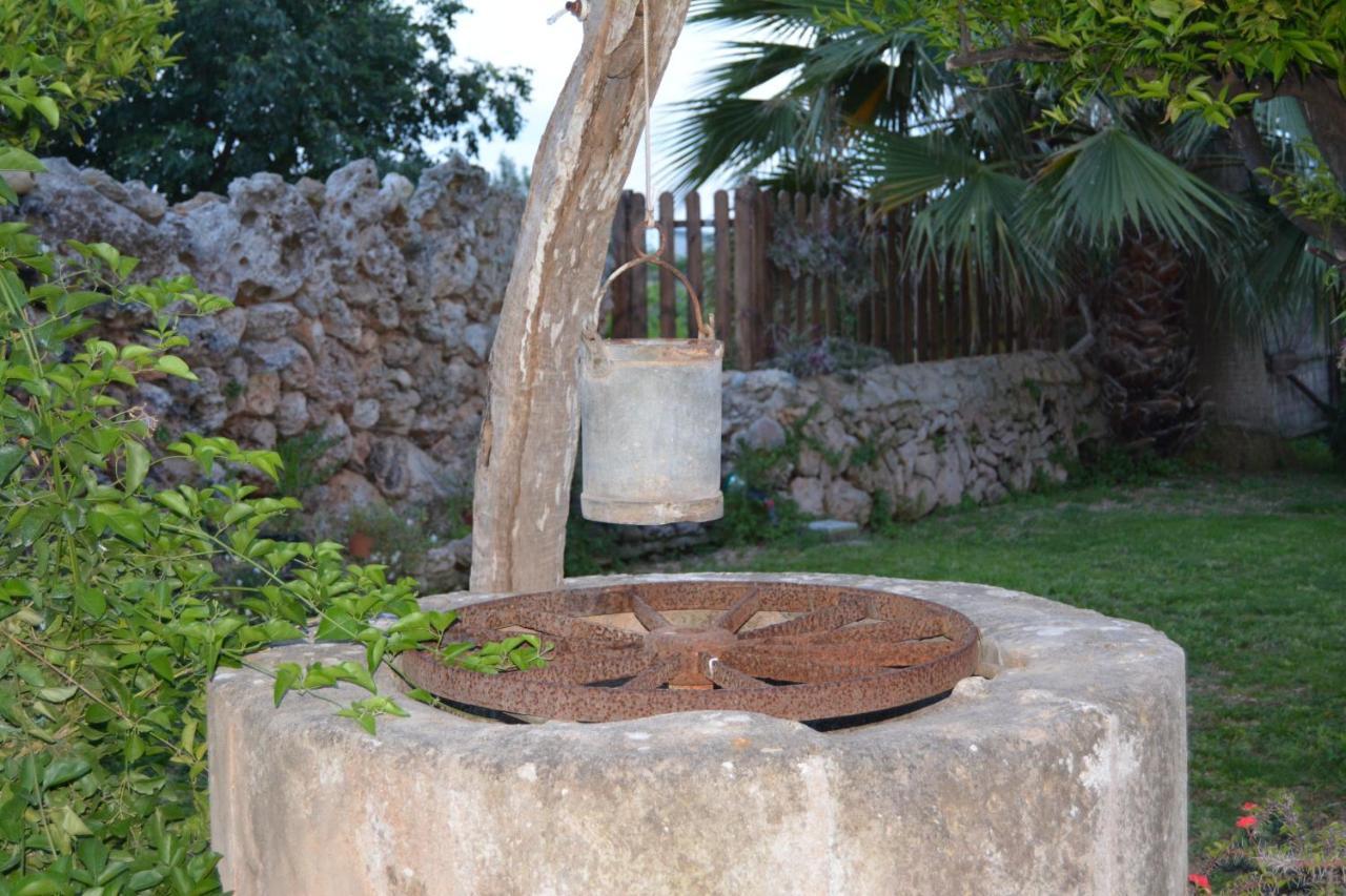 Agroturismo Finca Son Amora Palma de Mallorca Dış mekan fotoğraf