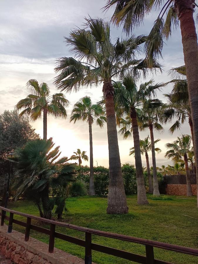 Agroturismo Finca Son Amora Palma de Mallorca Dış mekan fotoğraf