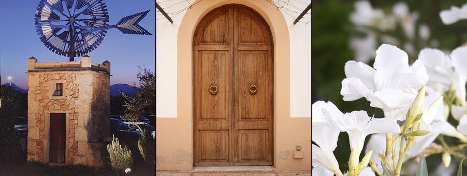 Agroturismo Finca Son Amora Palma de Mallorca Dış mekan fotoğraf